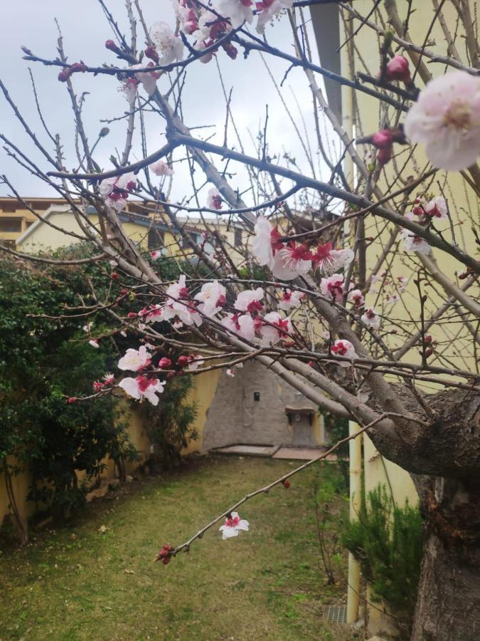 Il Borgo Del Sole Villasimius Exterior foto